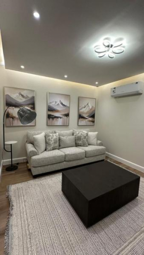 Luxury two apartment room